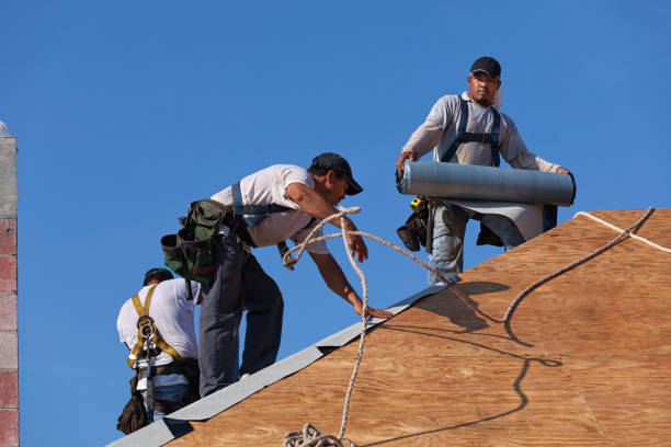 Best Roof Gutter Cleaning  in Portland, ME